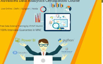 Job Oriented Data Analyst Course in Delhi, 110003.