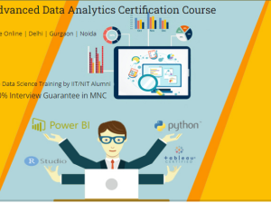 Top Data Analyst Course in Delhi, 110046. Best